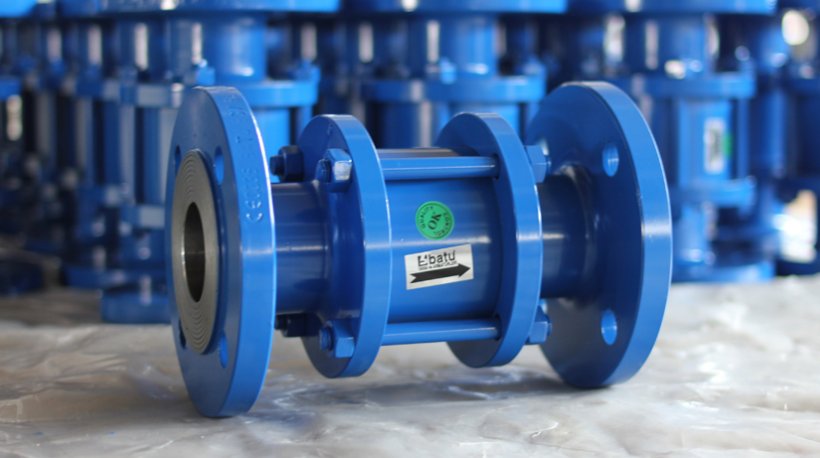 Check valve