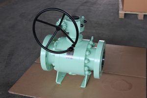 API 6D Ball Valve Gallery - 10