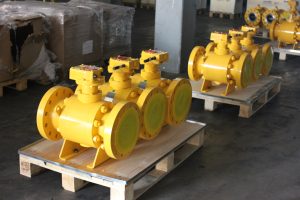 API 6D Ball Valve Gallery - 45