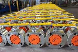 Burak Type Wafer Mono Block Ball Valve Gallery - 32