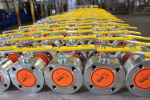 Burak Type Wafer Mono Block Ball Valve Gallery - 33