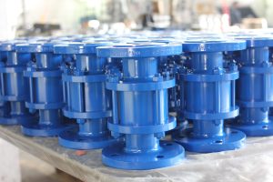 Check Valve Gallery - 2