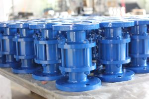 Check Valve Gallery - 3