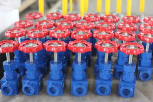Needle Valve Gallery - 2