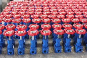Needle Valve Gallery - 4