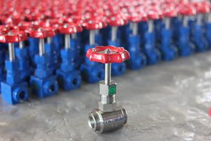 Needle Valve Gallery - 7