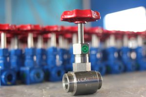 Needle Valve Gallery - 9