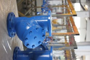 Strainer Filter Gallery - 22