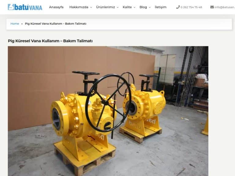 Pig Küresel Vana Kullanım – Bakım Talimatı