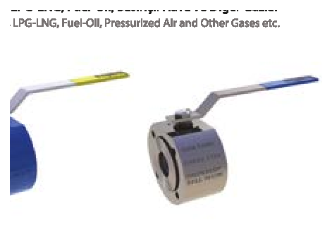 CLASS 150/300 Full Bore/Flanged — valve views