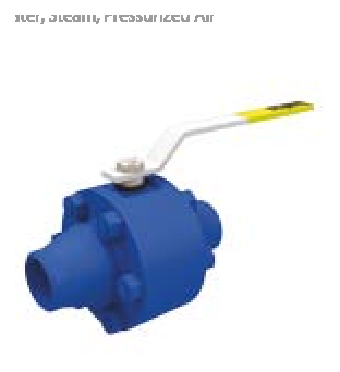 PN 150 Reduction Bore/Butt-Welded — valve views