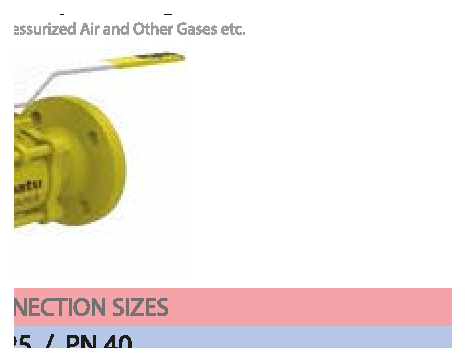 PN 16/25/40 Reduction Bore/Flanged — valve views