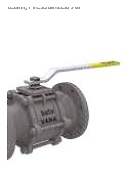 PN 16 Reduction Bore/Flanged — valve views