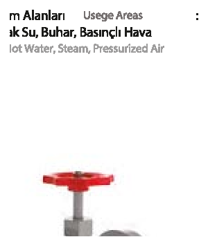 PN 250 Flanged — valve views